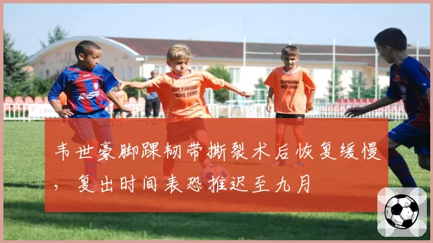 韦世豪脚踝韧带撕裂术后恢复缓慢,复出时间表恐推迟至九月